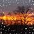 Lynnette Whitson's profile image