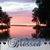 Lori Kunce's profile image