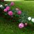 Christinebradmarie Beckman's profile image