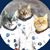 Marilyn Gardner's profile image
