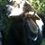 Suzanne Gnaegy's profile image
