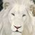 Dominick M. Koscielniak's profile image