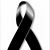 Eduardo Castillo Rubio's profile image