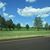 Cynthia Ritch's profile image