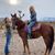 Karen Pacella's profile image