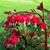 Patricia Parker's profile image