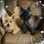 Christy Prather Bourland's profile image