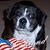 Jan Holsinger's profile image