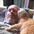 Kurt Messick's profile image