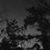 Luisa Garibay's profile image