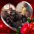 Kimberly Ranney VanCamp's profile image