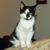'Oscar' Meyer's profile image