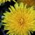 Dee A. Clement Jordan's profile image