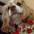 Terry Caughenbaugh's profile image