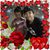 Endelia Rodriguez's profile image