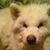 Kim Nett's profile image