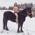 Brandt Jorgenson's profile image