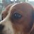 Randall Overmyer's profile image