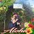 Debbie Elledge Franklin's profile image