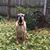 Julie Holmberg Hervas's profile image