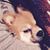 Momoko Fujikura's profile image