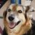 Bob Connor's profile image