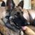 Valerie Goheen's profile image