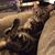 Linda Petch's profile image
