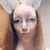 Amber Lynn's profile image