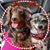 Julie Lyons's profile image
