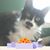 Barbara Jean Miller Clouse's profile image