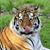 Jean-Pierre Demanet's profile image