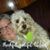 Sue Isbell Tucker's profile image
