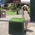 Thao Dao's profile image