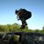 Ryan Moy's profile image