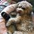 Amy Mitchell Cordle's profile image