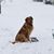 Kathy Hamil Lebbad's profile image