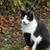 Kathleen Polak's profile image