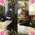 Julie Wheaton Meyers's profile image