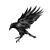 Amy Pickelsimer Blaylock's profile image