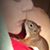 Sandra Chapman's profile image
