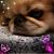 Beth Millican's profile image