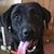 Sherri Barnum's profile image