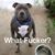 Kenny Johnson's profile image