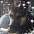 Pamela Poyser's profile image