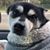 Lydia Burgess Grosser's profile image