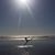 Erica Reimers's profile image