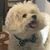 Bob-Janie Hudson's profile image