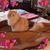 Diane Lorentzen Howard's profile image