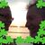 Geraldine Connelly Denien's profile image